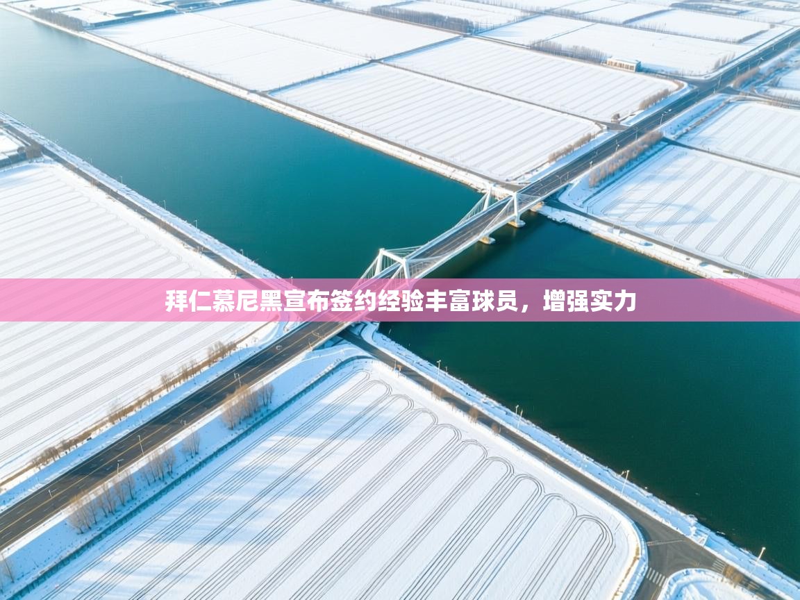 拜仁慕尼黑宣布签约经验丰富球员,增强实力 第2张