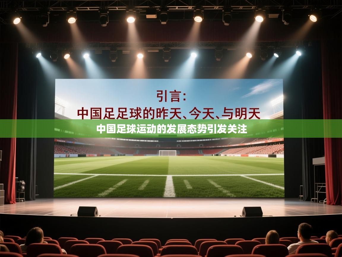 中国足球运动的发展态势引发关注  第2张
