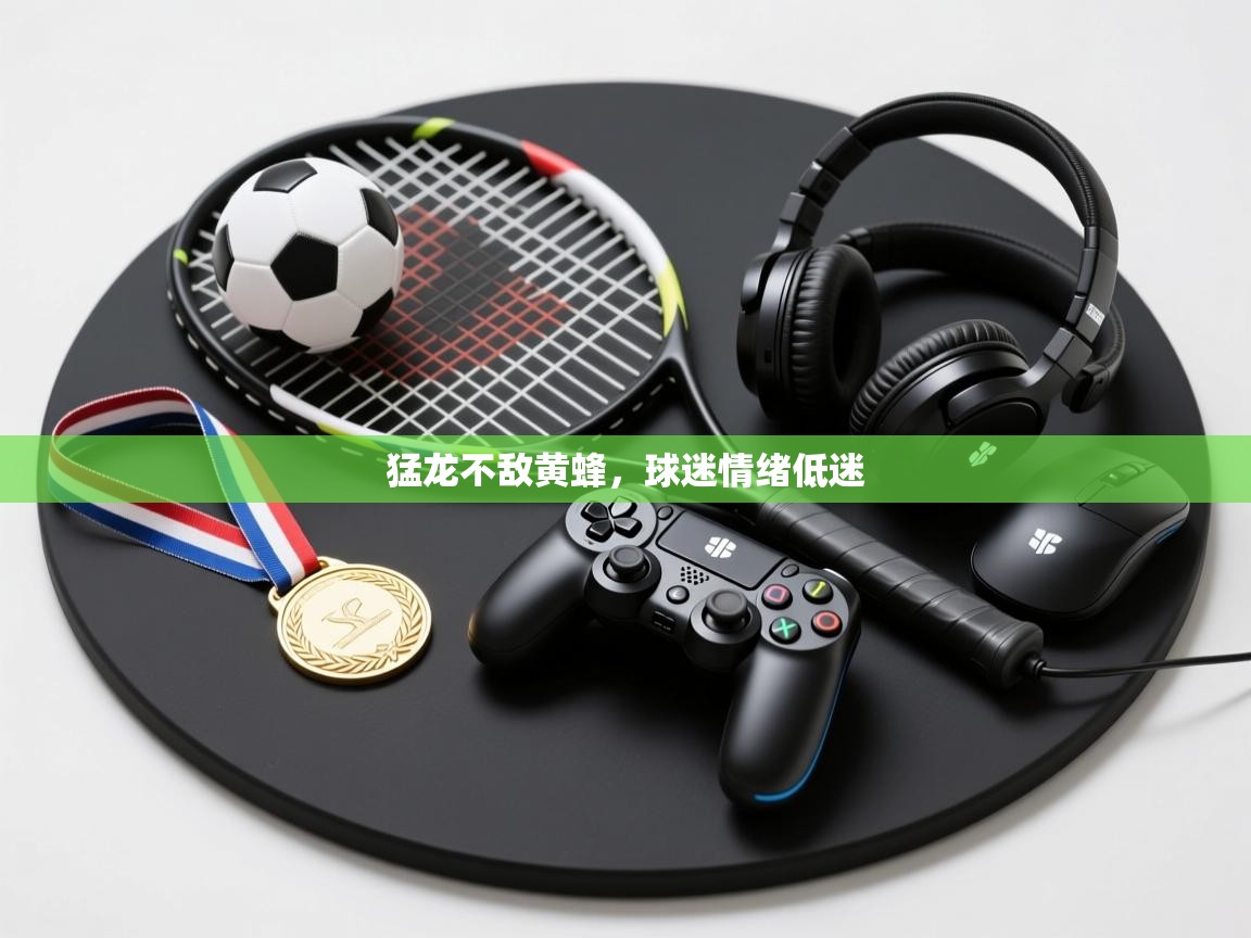 猛龙不敌黄蜂,球迷情绪低迷 第1张