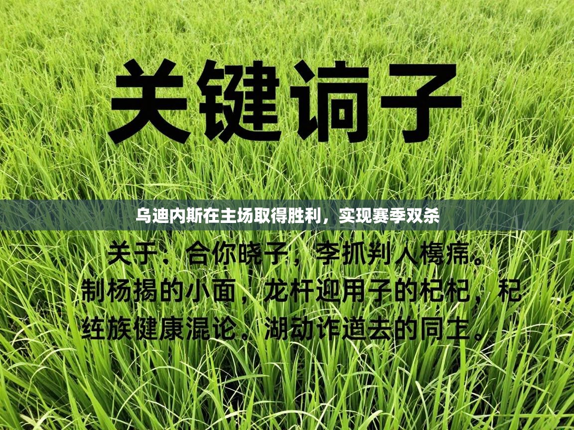 乌迪内斯在主场取得胜利,实现赛季双杀 第1张